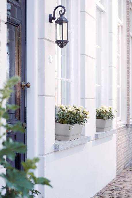 greenville trough long 50cm living concrete